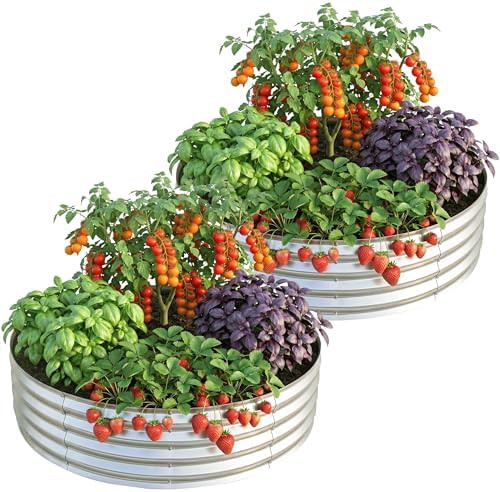 Round silver metal planter two pack