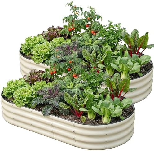Two pack oval white metal planters