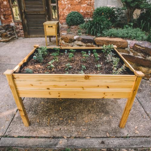 Natural wood elevated planter with high capacity — photo 3
