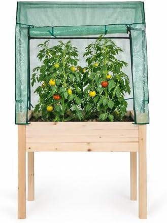 Wooden elevated garden bed with greenhouse cover
